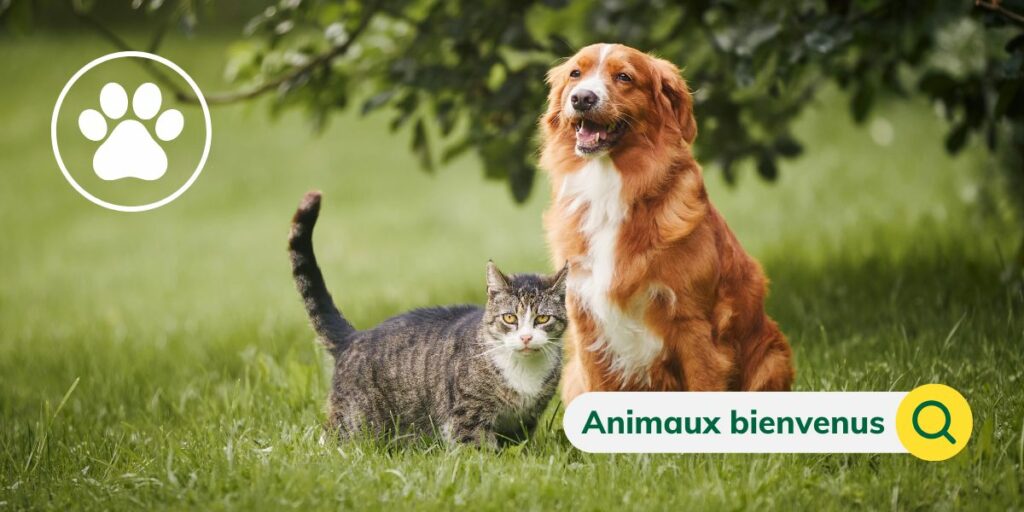 Location avec animaux acceptés